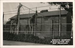 Stock #787737 Thumbnail