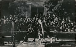 Seal Show, San Francisco Zoological Gardens California Strand Photos Postcard Postcard Postcard