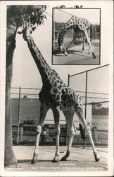 Stock #787758 Thumbnail