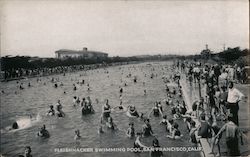 Fleishhacker Swimming Pool Postcard