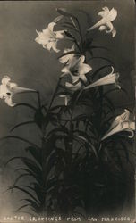 Stock #787781 Thumbnail