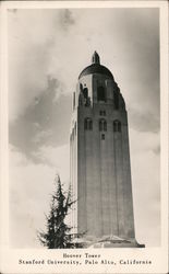 Hoover Tower, Stanford University Postcard