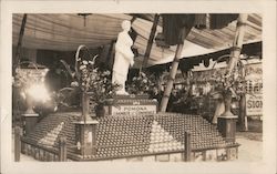 POMONA CHAMBER OF COMMERCE Apple Display Postcard