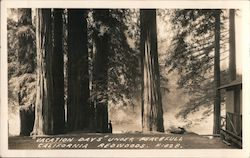 Stock #787939 Thumbnail