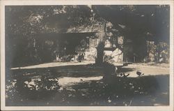 Shady House Postcard