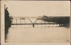 King's River Bridge and Orange Groves Postcard