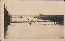 King's River Bridge and Orange Groves Reedley, CA Postcard Postcard Postcard