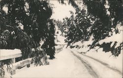 A Snowy Road Scene Porterville, CA Postcard Postcard Postcard
