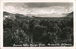 Success Valley Orange Grovers Porterville, CA Postcard Postcard Postcard