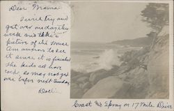 Coast and Spray on 17 Mile Drive Postcard