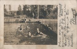 Bathing at Olympia Park Grass Valley, CA Postcard Postcard Postcard