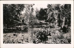 Picnic Grounds Memorial Park Grass Valley, CA Postcard Postcard Postcard