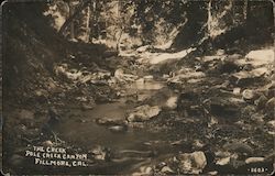 "The Creek" Pole Creek Canyon Postcard