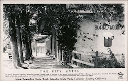 The City Hotel Postcard