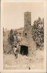 Gold Rush: Lone fireplace with chimney. Remnants of '49 Postcard