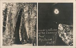 Inside & Outside of the "Chimney Tree" Big Basin, CA Postcard Postcard Postcard