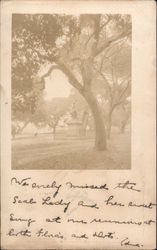 Statue in Park - Berkeley, or San Francisco? Postcard