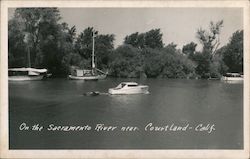 On the Sacramento River Postcard