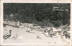 Beach at Guernewood Park Postcard