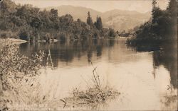 Looking Along Russian River Postcard