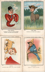 Set of 4: Human Heads on Animals "Natural History Series" Postcard