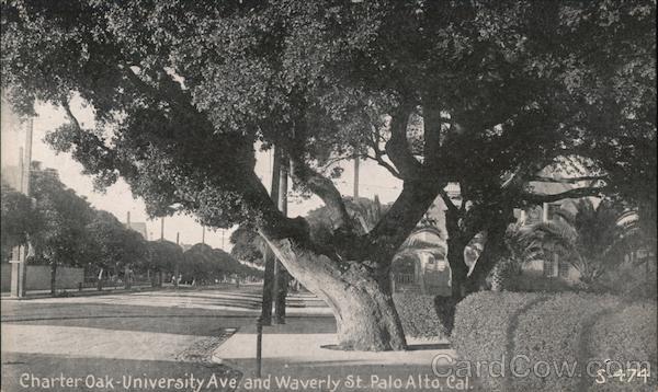 Charter Oak - University Ave. and Waverly St. Palo Alto California