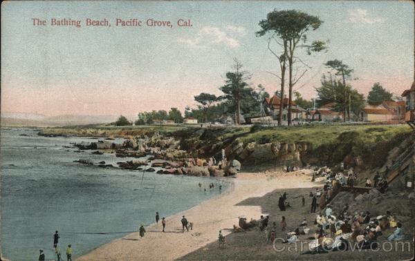 The Bathing Beach Pacific Grove California