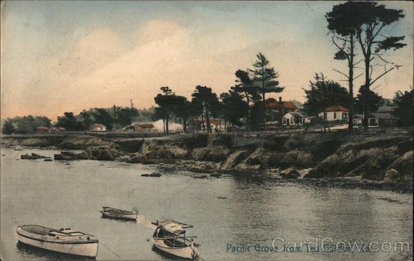 Pacific Grove from Tea Garden California