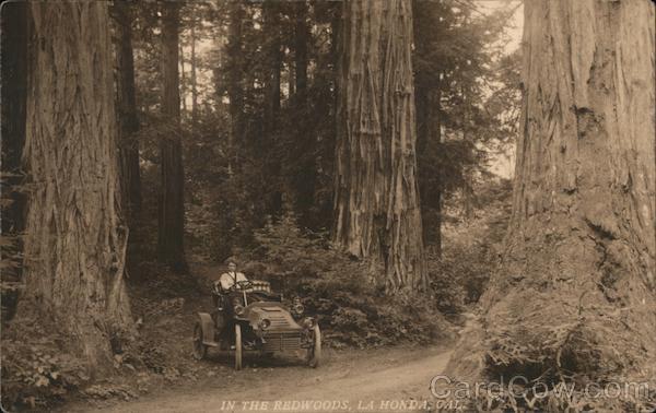 Car In The Redwoods La Honda California