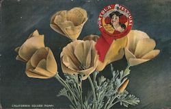 Portola Festival Oct. 19-23, 1909 - California Golden Poppy Postcard
