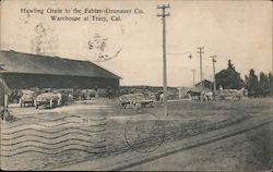 Hawling Grain to the Fabian-Grunauer Company Warehouse Postcard