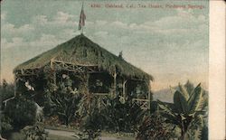 Tea House, Piedmont Springs Postcard