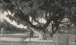 Charter Oak - University Ave. and Waverly St. Postcard