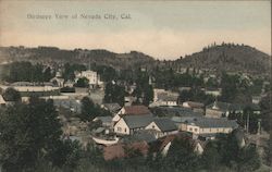 Birdseye View of Nevada City Postcard