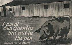 I am at San Quentin But Not in the Pen - Big Pig California Postcard Postcard Postcard