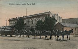 Hauling casing Postcard