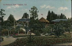 In Piedmont Park Postcard