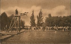 Swimming Pool at Zapp's Park Postcard