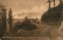 The Summit near Big Basin, California Redwood Park Boulder Creek, CA Postcard Postcard Postcard