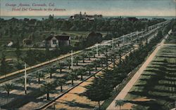 Orange Avenue, Hotel Del Coronado in the Distance California Postcard Postcard Postcard