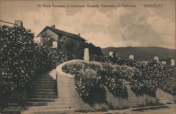 At North Entrance to Grounds, University of California Postcard