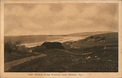 Willow Camp Scenery near Bolinas Postcard