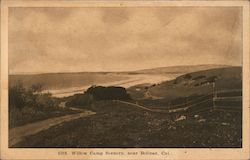 Willow Camp Scenery near Bolinas California Postcard Postcard Postcard