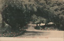 Teachers' Bridge, Belmont School California Postcard Postcard Postcard