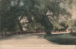 Along the Main Driveway, Belmont School Postcard