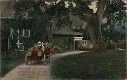 Beautiful California Automobiling in Winter Postcard