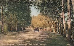 Robla Avenue, San Mateo County Hillsborough, CA Postcard Postcard Postcard