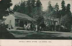 Cavalli Bros. Stone La Honda, CA Postcard Postcard Postcard