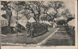 Company Street, Camp Fremont Postcard