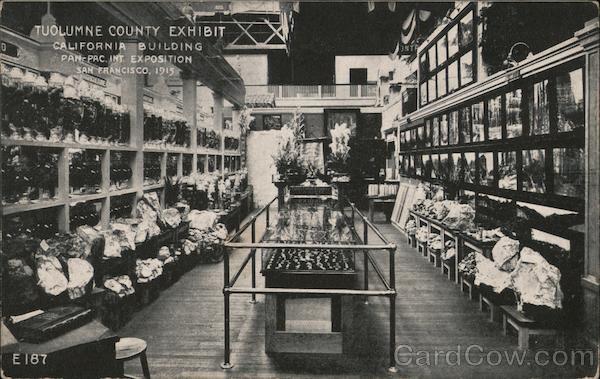 Tolumne County Exhibit California Building Pan-Pac. It. Exposition San Francisco, 1915